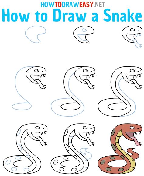 How to draw a snake step by step from basic to advance